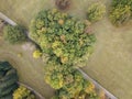 Aerial top view of summer park landscape with green trees, lawns and footpath. Nature background concept