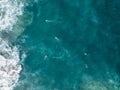 Aerial top view of surfers on blue water near Manly Beach, Sydney, Australia Royalty Free Stock Photo