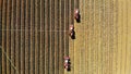 Aerial top view. three big red combine harvester machines harvesting corn field in early autumn. tractors filtering Royalty Free Stock Photo