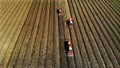 Aerial top view. three big red combine harvester machines harvesting corn field in early autumn. tractors filtering Royalty Free Stock Photo