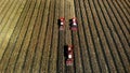 Aerial top view. three big red combine harvester machines harvesting corn field in early autumn. tractors filtering Royalty Free Stock Photo