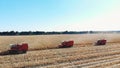 Aerial top view. three big red combine harvester machines harvesting corn field in early autumn. tractors filtering Royalty Free Stock Photo