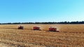 Aerial top view. three big red combine harvester machines harvesting corn field in early autumn. tractors filtering Royalty Free Stock Photo