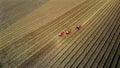 Aerial top view. three big red combine harvester machines harvesting corn field in early autumn. tractors filtering Royalty Free Stock Photo