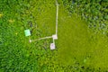 Aerial top view tree and river, mangrove forest,