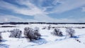 Aerial top view of trees next to a frozen river in winter , surrounded by snow. Kanata neighborhood seen in the