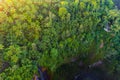 Aerial top view of trees in tropical forest in national park and mountain or hill in summer season in Indonesia. Natural landscape