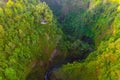 Aerial top view of trees in tropical forest in national park and mountain or hill in summer season in Indonesia. Natural landscape