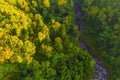 Aerial top view of trees in tropical forest in national park and mountain or hill in summer season in Indonesia. Natural landscape