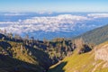 Aerial top view of trees in tropical forest in national park and mountain or hill in summer season in Indonesia at noon. Natural