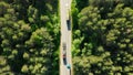 Trucks on road in coniferous forest, aerial drone