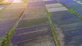 Aerial top view of vast colorful agricultural fields