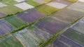 Aerial top view of vast colorful agricultural fields