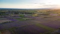 Aerial top view of vast colorful agricultural fields