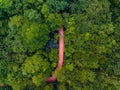 Aerial top view walkway in forest with trees and river Royalty Free Stock Photo