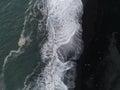 Aerial top view of wave of Black Sand Beach Reynisfjara in Iceland