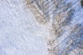 Aerial top view of winter park. trees with long shadows on snow Royalty Free Stock Photo
