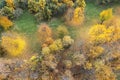 Aerial top view of yellow, orange and green trees in autumn forest Royalty Free Stock Photo