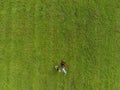 Aerial top view. Yong girl with her small terrier in a field, Copy space