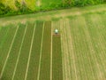 Aerial: tractor working on cultivated fields farmland, agriculture occupation, top down view of lush green cereal crops, sprintime