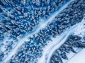 Aerial. Trees and snow in a winter forest. Nature background top view