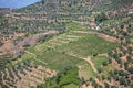 Aerial typical landscape of the highlands in the north of Portugal, levels for agriculture of vineyards, olive tree groves