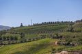 Aerial typical landscape of the highlands in the north of Portugal, levels for agriculture of vineyards, olive tree groves Royalty Free Stock Photo