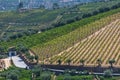 Aerial typical landscape of the highlands in the north of Portugal, levels for agriculture of vineyards, olive tree groves