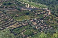 Aerial typical landscape of the highlands in the north of Portugal, levels for agriculture of vineyards, olive tree groves Royalty Free Stock Photo