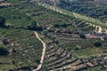 Aerial typical landscape of the highlands in the north of Portugal, levels for agriculture of vineyards, olive tree groves Royalty Free Stock Photo