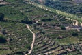 Aerial typical landscape of the highlands in the north of Portugal, levels for agriculture of vineyards, olive tree groves