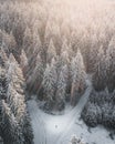 Aerial vertical shot of a person standing at the crossroads of a winter forest