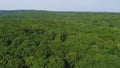 Aerial video of beautiful foliate forest and green trees captured by a drone camera