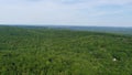 Aerial video of foliate forest and green trees captured by a drone camera