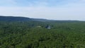 Aerial video of beautiful foliate forest and green trees captured by a drone camera