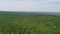 Aerial video of beautiful foliate forest and green trees captured by a drone camera