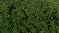 Aerial video of foliate forest and green trees captured by a drone camera top view