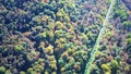 Aerial video of forest in summer at sunset. Countryside