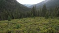 Sierra Buttes in Eureka Plumas Forest