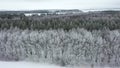 Aerial video takeoff over frost-covered trees