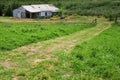 Aerial view of abandoned old farm house Royalty Free Stock Photo