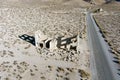 Aerial view of Rhyolite Ghost town. Royalty Free Stock Photo