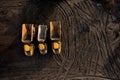 Aerial view above earth mover trucks on a muddy construction site Royalty Free Stock Photo