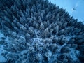 Aerial view from above of winter forest covered with snow. Fir tree forest top view. Lonely hermit house with warm Royalty Free Stock Photo