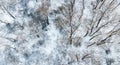 Aerial view from above of winter forest covered in snow. Pine tree and spruce forest top view. Cold snowy wilderness drone Royalty Free Stock Photo