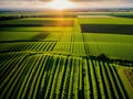 Aerial view of acres of farmland.