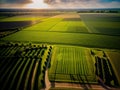 Aerial view of acres of farmland.