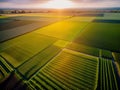 Aerial view of acres of farmland.