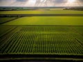 Aerial view of acres of farmland.