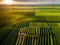 Aerial view of acres of farmland.